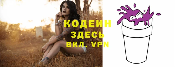 сатива Елизово