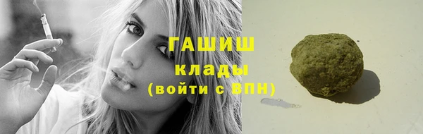 сатива Елизово