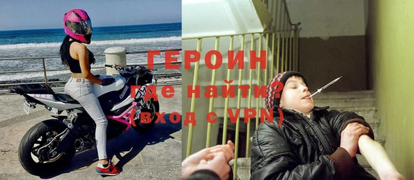 сатива Елизово