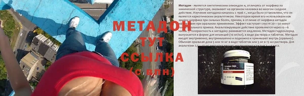 сатива Елизово