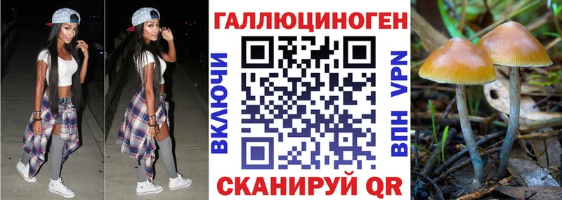 Псилоцибиновые грибы Magic Shrooms  купить наркоту  Бийск 